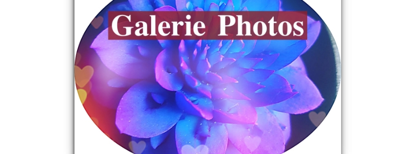 25/01/2023 Galerie Photos des Fleurs en Savon