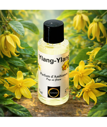 extrait de parfum ambiance ylang