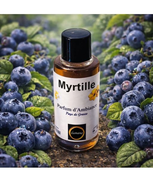 extrait de parfum ambiance Myrtille